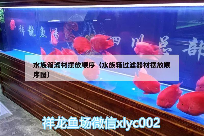 水族箱濾材擺放順序（水族箱過濾器材擺放順序圖）