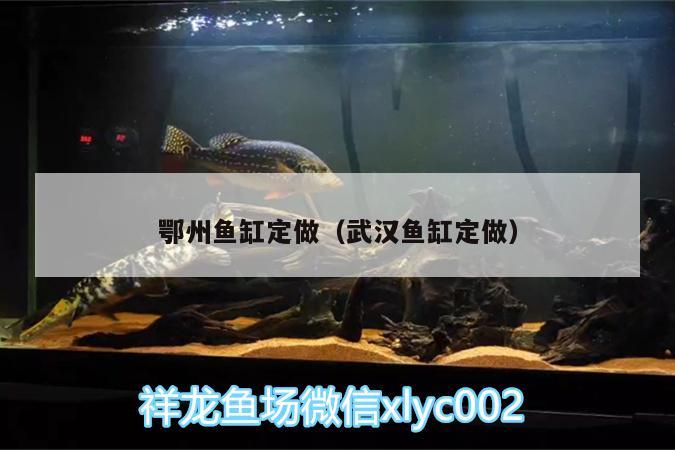 鄂州魚(yú)缸定做（武漢魚(yú)缸定做） 祥龍赫舞紅龍魚(yú) 第2張