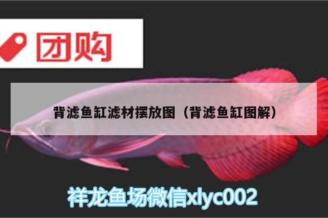 背濾魚缸濾材擺放圖（背濾魚缸圖解）