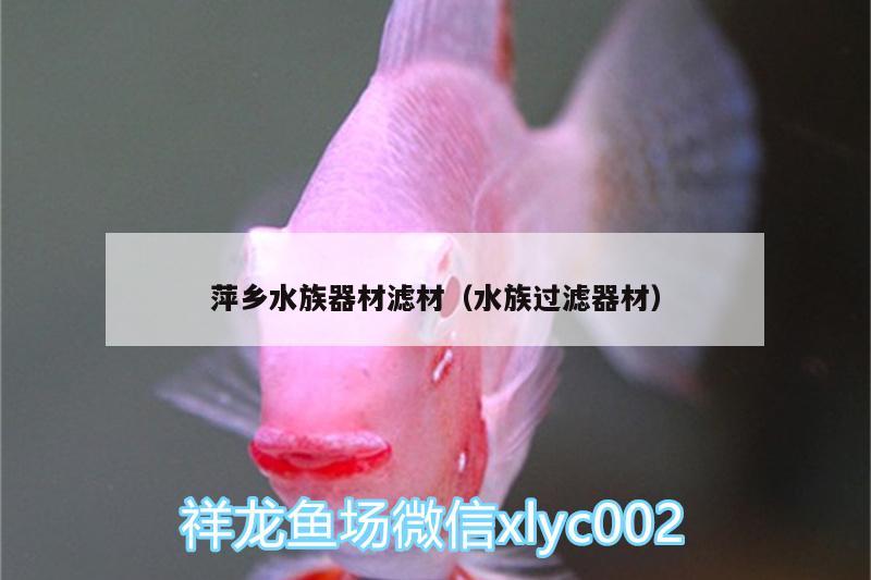 萍鄉(xiāng)水族器材濾材（水族過濾器材）