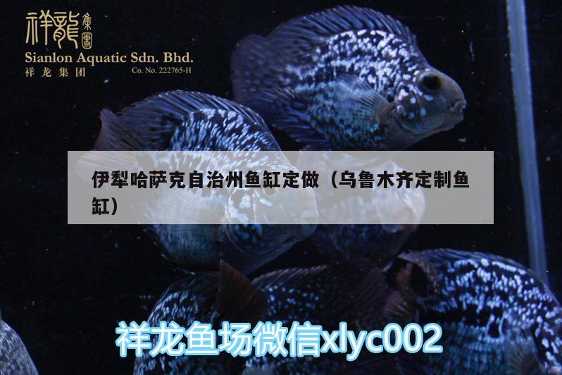 伊犁哈薩克自治州魚缸定做（烏魯木齊定制魚缸） 紅龍專用魚糧飼料 第1張