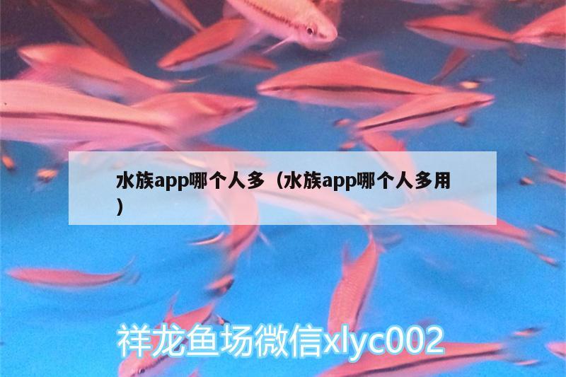 水族app哪個(gè)人多（水族app哪個(gè)人多用）