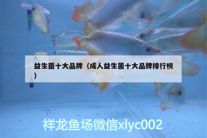 益生菌十大品牌（成人益生菌十大品牌排行榜） 黑金魟魚 第1張