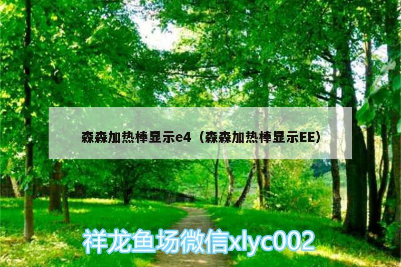 森森加熱棒顯示e4（森森加熱棒顯示EE） 非洲金鼓魚