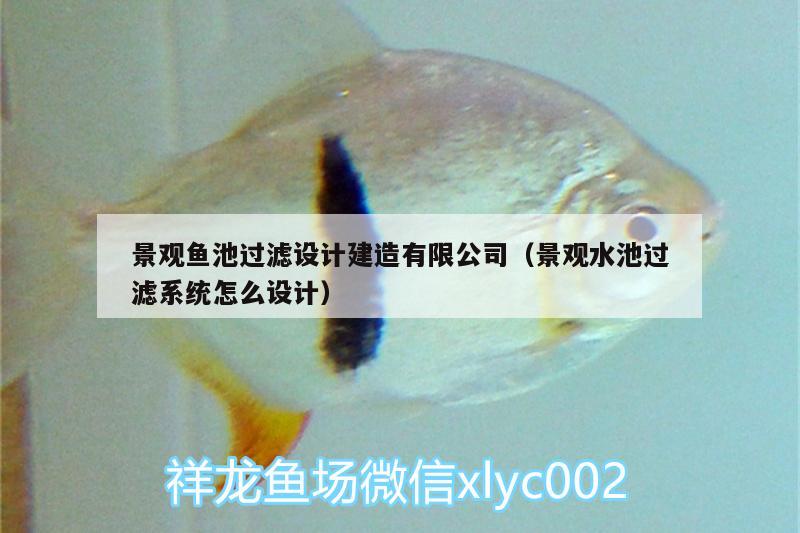 景觀魚池過濾設(shè)計(jì)建造有限公司（景觀水池過濾系統(tǒng)怎么設(shè)計(jì)） 羽毛刀魚苗 第1張