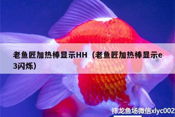 老魚(yú)匠加熱棒顯示HH（老魚(yú)匠加熱棒顯示e3閃爍） 老魚(yú)匠