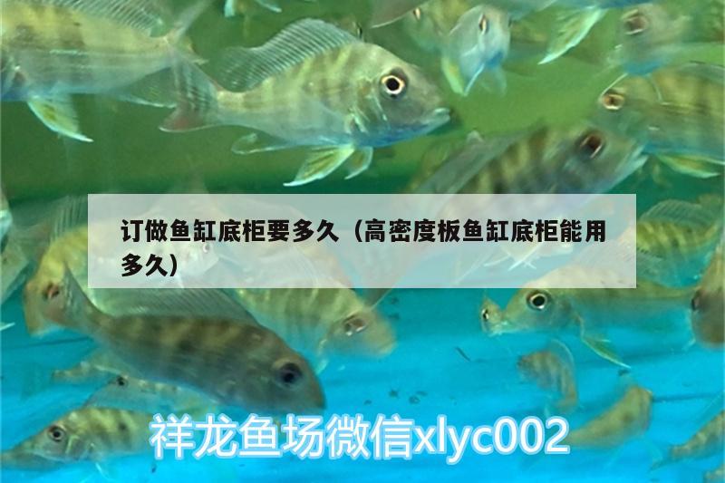 訂做魚缸底柜要多久（高密度板魚缸底柜能用多久） 龍魚專用燈