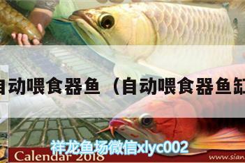 自動喂食器魚（自動喂食器魚缸） 喂食器