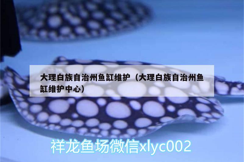 大理白族自治州魚(yú)缸維護(hù)（大理白族自治州魚(yú)缸維護(hù)中心） 其他益生菌 第1張