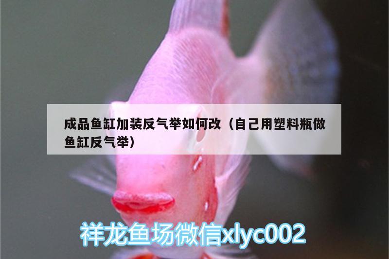 成品魚缸加裝反氣舉如何改（自己用塑料瓶做魚缸反氣舉）