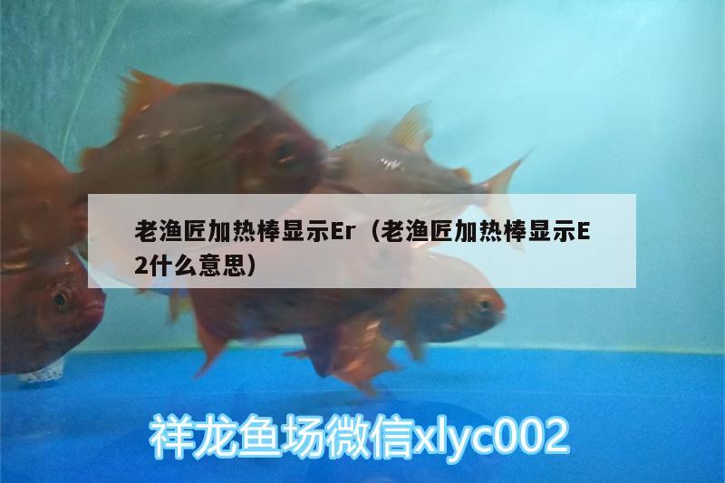 老漁匠加熱棒顯示Er（老漁匠加熱棒顯示E2什么意思）