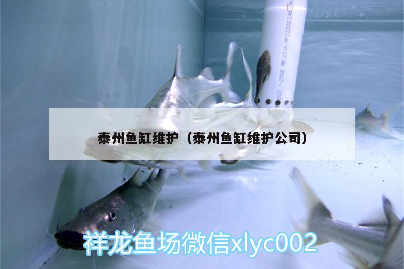 泰州魚(yú)缸維護(hù)（泰州魚(yú)缸維護(hù)公司） 水族品牌 第1張