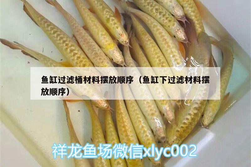 魚缸過濾桶材料擺放順序（魚缸下過濾材料擺放順序）