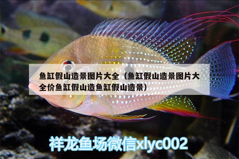 魚(yú)缸假山造景圖片大全（魚(yú)缸假山造景圖片大全價(jià)魚(yú)缸假山造魚(yú)缸假山造景） 鴨嘴鯊魚(yú)