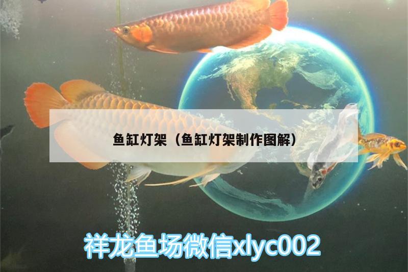 魚缸燈架（魚缸燈架制作圖解） 祥龍水族護(hù)理水