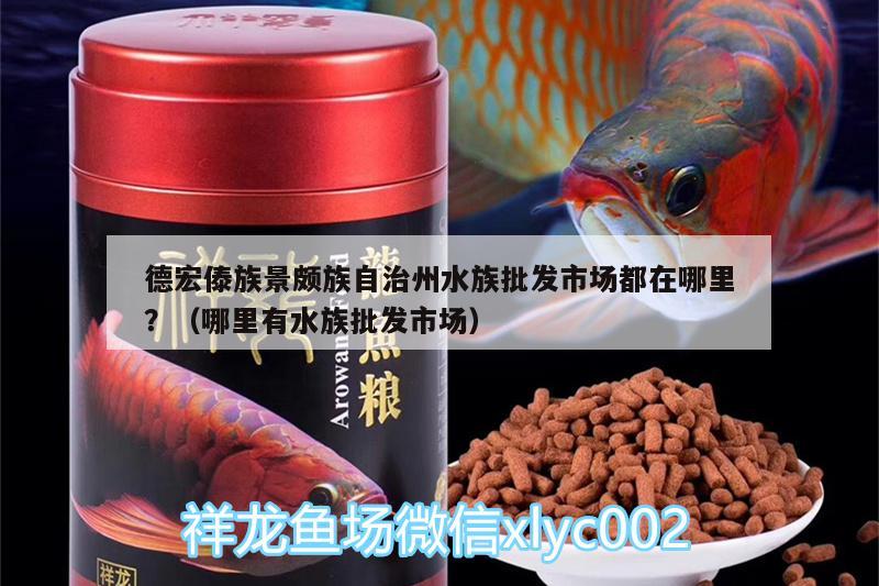 德宏傣族景頗族自治州水族批發(fā)市場(chǎng)都在哪里？（哪里有水族批發(fā)市場(chǎng)）