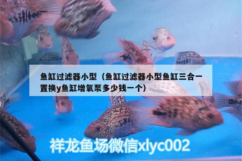 魚缸過濾器小型（魚缸過濾器小型魚缸三合一置換y魚缸增氧泵多少錢一個(gè)） 黃金斑馬魚