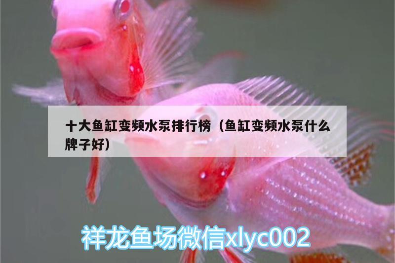 十大魚缸變頻水泵排行榜（魚缸變頻水泵什么牌子好）