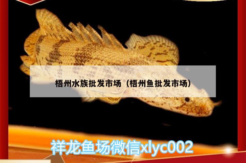 梧州水族批發(fā)市場(chǎng)（梧州魚批發(fā)市場(chǎng)）