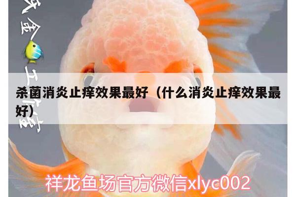 殺菌消炎止癢效果最好（什么消炎止癢效果最好） 大嘴鯨魚(yú)