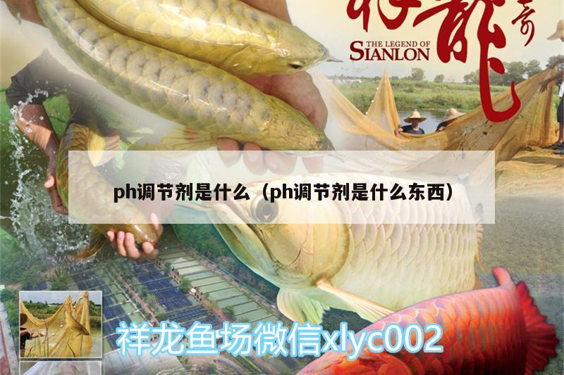 ph調(diào)節(jié)劑是什么（ph調(diào)節(jié)劑是什么東西） 福魟魟魚