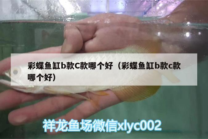 彩蝶魚(yú)缸b款C款哪個(gè)好（彩蝶魚(yú)缸b款c款哪個(gè)好） 超血紅龍魚(yú)