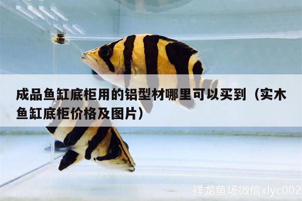 成品魚缸底柜用的鋁型材哪里可以買到（實木魚缸底柜價格及圖片） 觀賞蝦蟹等飼料