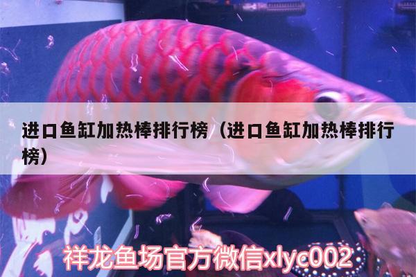 進口魚缸加熱棒排行榜（進口魚缸加熱棒排行榜） 斑馬狗頭魚