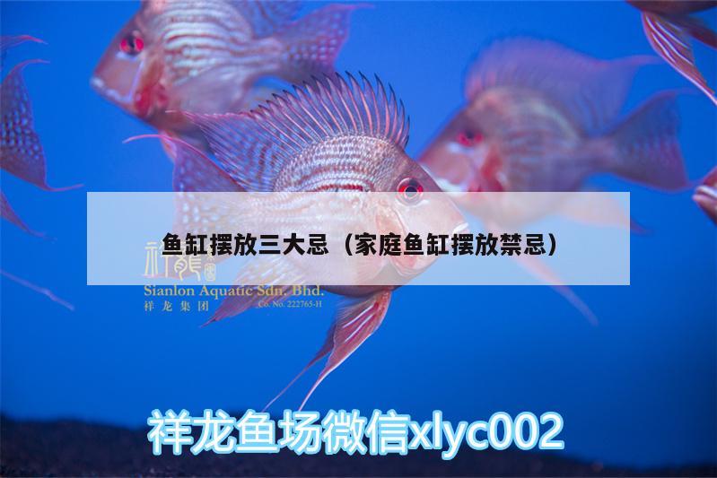 魚缸擺放三大忌（家庭魚缸擺放禁忌）