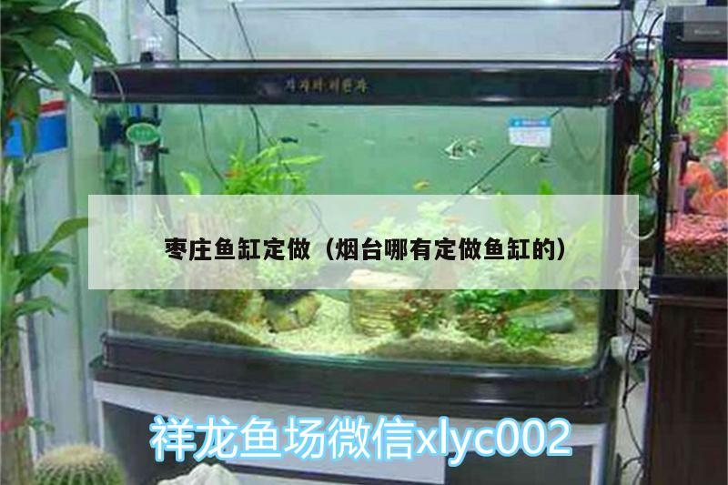 棗莊魚(yú)缸定做（煙臺(tái)哪有定做魚(yú)缸的）