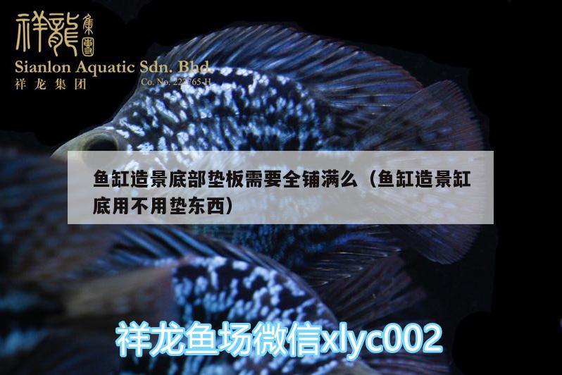 魚(yú)缸造景底部墊板需要全鋪滿(mǎn)么（魚(yú)缸造景缸底用不用墊東西）