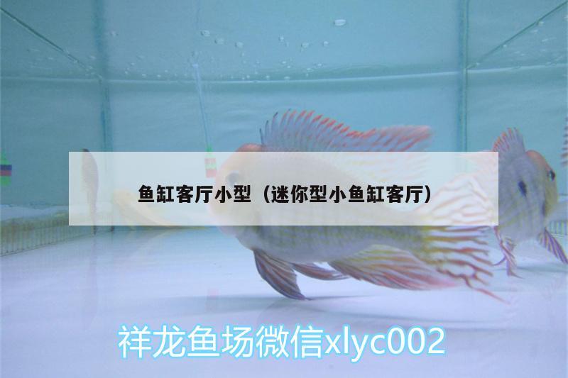 魚缸客廳小型（迷你型小魚缸客廳） 羅漢魚批發(fā)