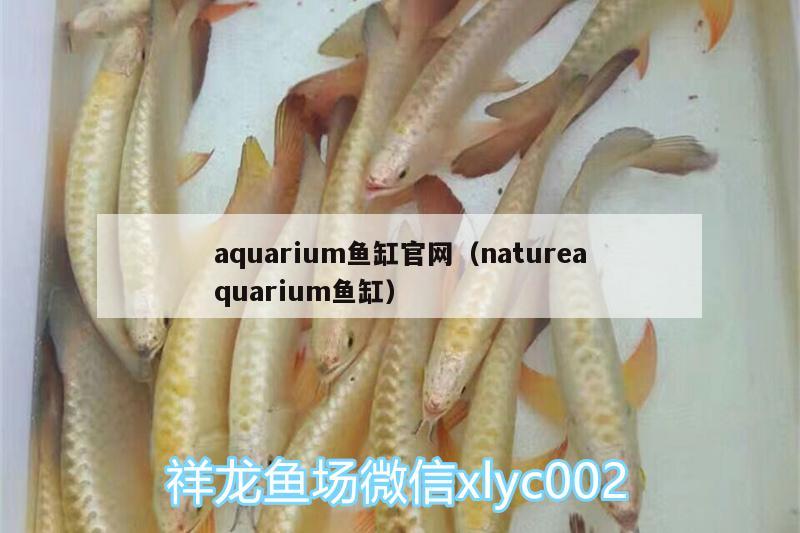 aquarium魚缸官網(wǎng)（natureaquarium魚缸）