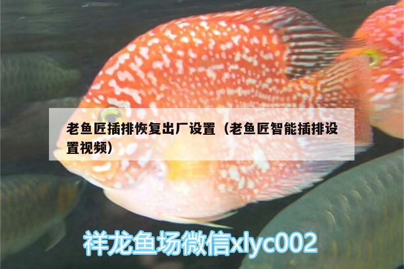 老魚匠插排恢復出廠設置（老魚匠智能插排設置視頻） 老魚匠