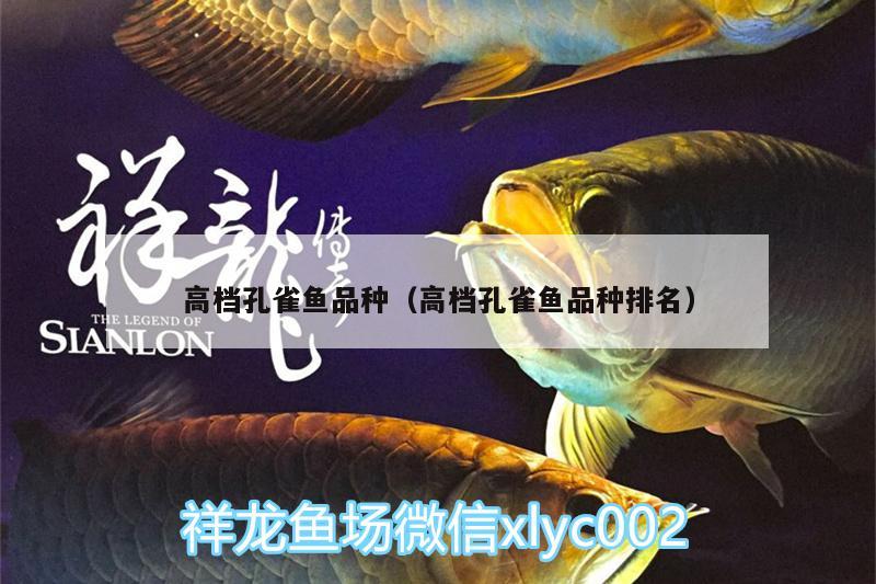 高檔孔雀魚品種（高檔孔雀魚品種排名）