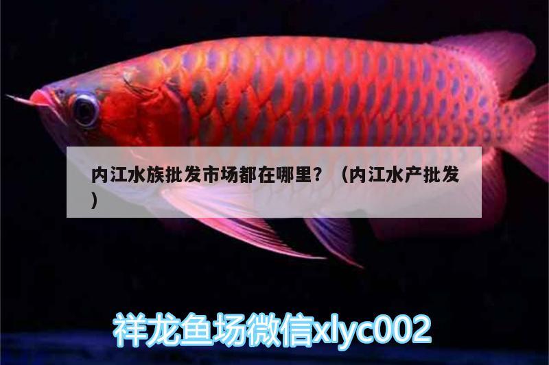 內(nèi)江水族批發(fā)市場都在哪里？（內(nèi)江水產(chǎn)批發(fā)）