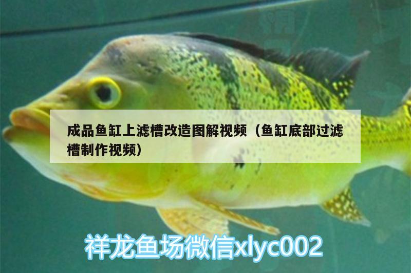 成品魚缸上濾槽改造圖解視頻（魚缸底部過濾槽制作視頻） 恐龍王魚