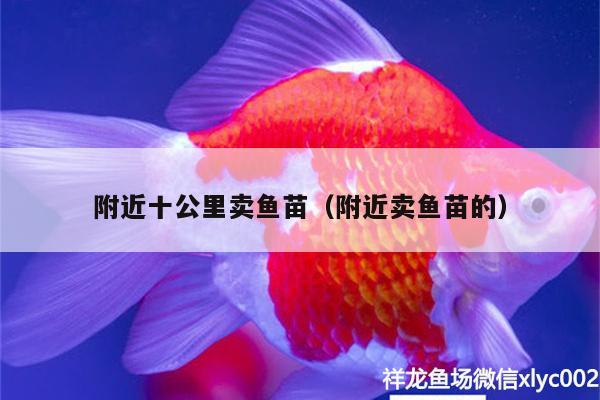 附近十公里賣魚苗（附近賣魚苗的） 黃金眼鏡蛇雷龍魚