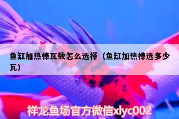 魚缸加熱棒瓦數(shù)怎么選擇（魚缸加熱棒選多少瓦） 白子銀龍魚苗