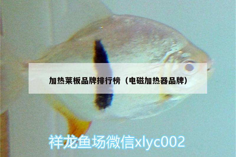 加熱萊板品牌排行榜（電磁加熱器品牌） 金龍魚(yú)百科