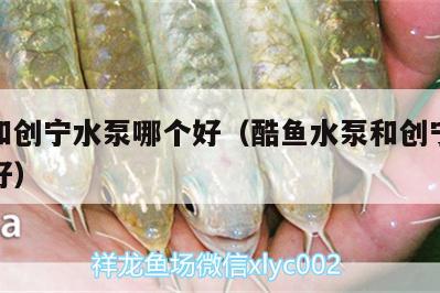 酷魚和創(chuàng)寧水泵哪個(gè)好（酷魚水泵和創(chuàng)寧水泵哪個(gè)好） 創(chuàng)寧水族