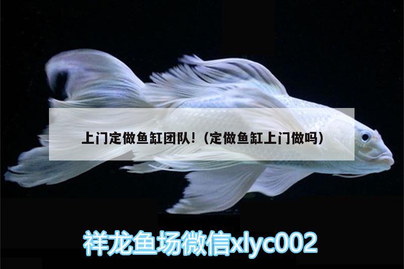 上門定做魚缸團(tuán)隊(duì)!（定做魚缸上門做嗎） 泰龐海蓮魚