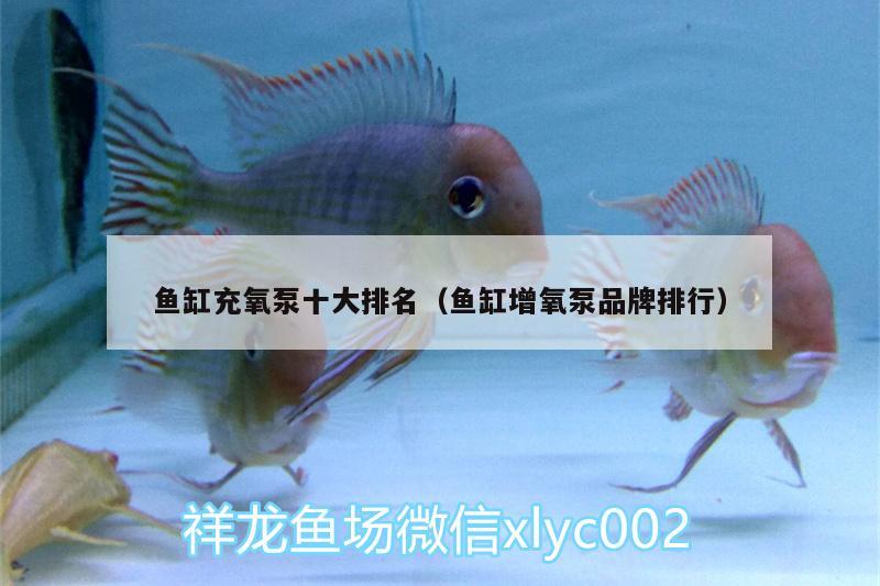 魚缸充氧泵十大排名（魚缸增氧泵品牌排行）