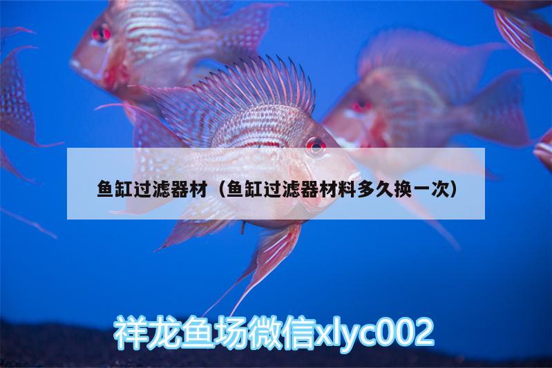 魚缸過濾器材（魚缸過濾器材料多久換一次）