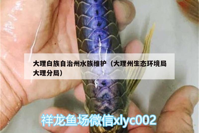 大理白族自治州水族維護(hù)（大理州生態(tài)環(huán)境局大理分局） 紅龍專(zhuān)用魚(yú)糧飼料