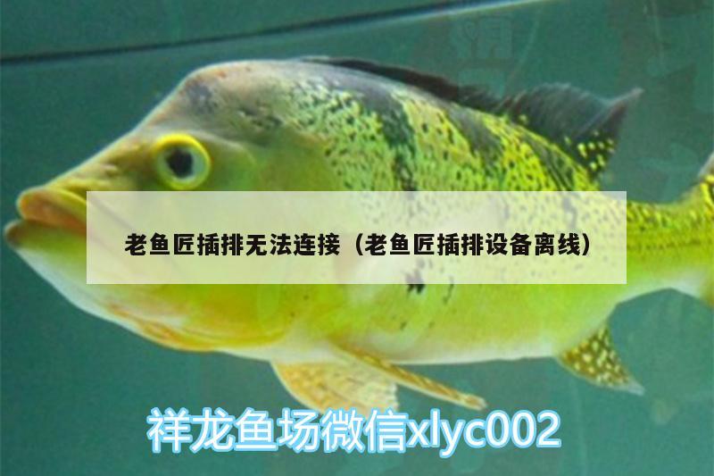 老魚(yú)匠插排無(wú)法連接（老魚(yú)匠插排設(shè)備離線）