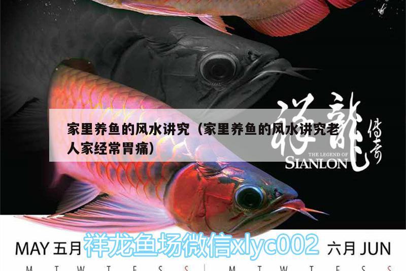 家里養(yǎng)魚的風(fēng)水講究（家里養(yǎng)魚的風(fēng)水講究老人家經(jīng)常胃痛）