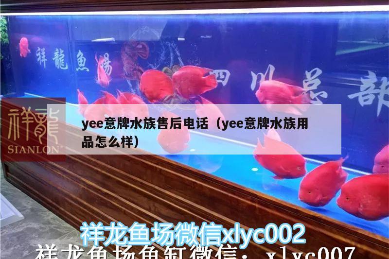 yee意牌水族售后電話（yee意牌水族用品怎么樣） yee