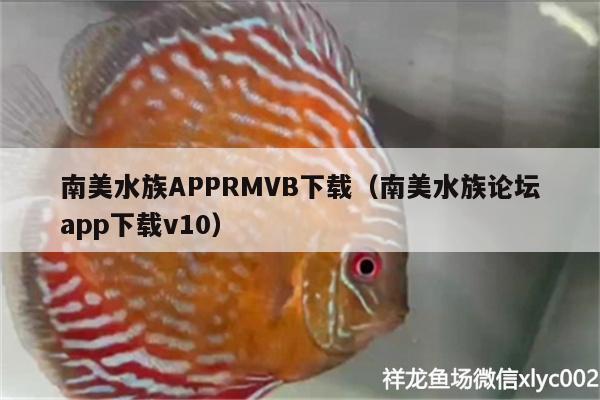 南美水族APPRMVB下載（南美水族論壇app下載v10）