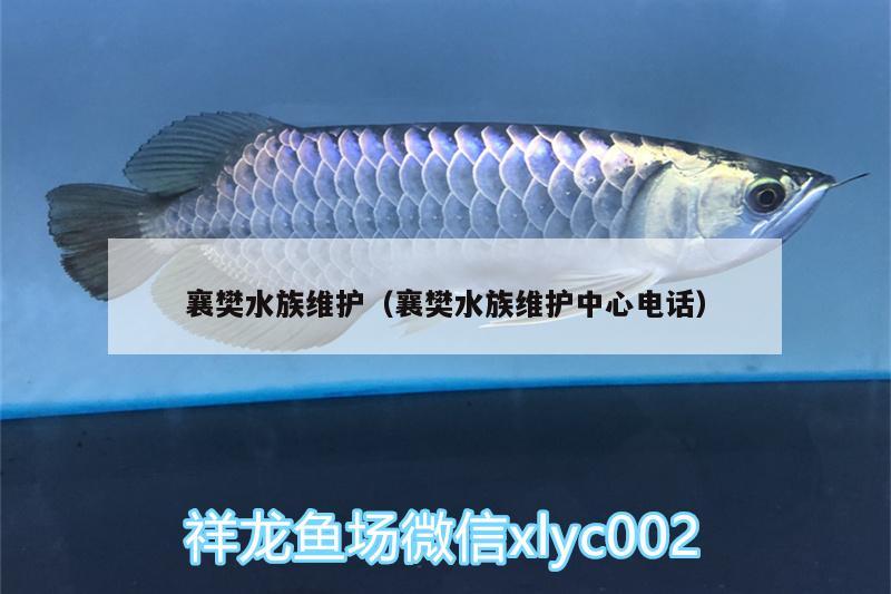 襄樊水族維護（襄樊水族維護中心電話）